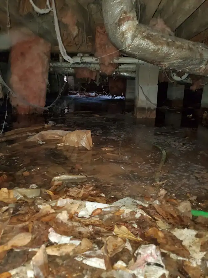 Crawl space flood assessment for Commercial Water Damage Restoration in Grayling