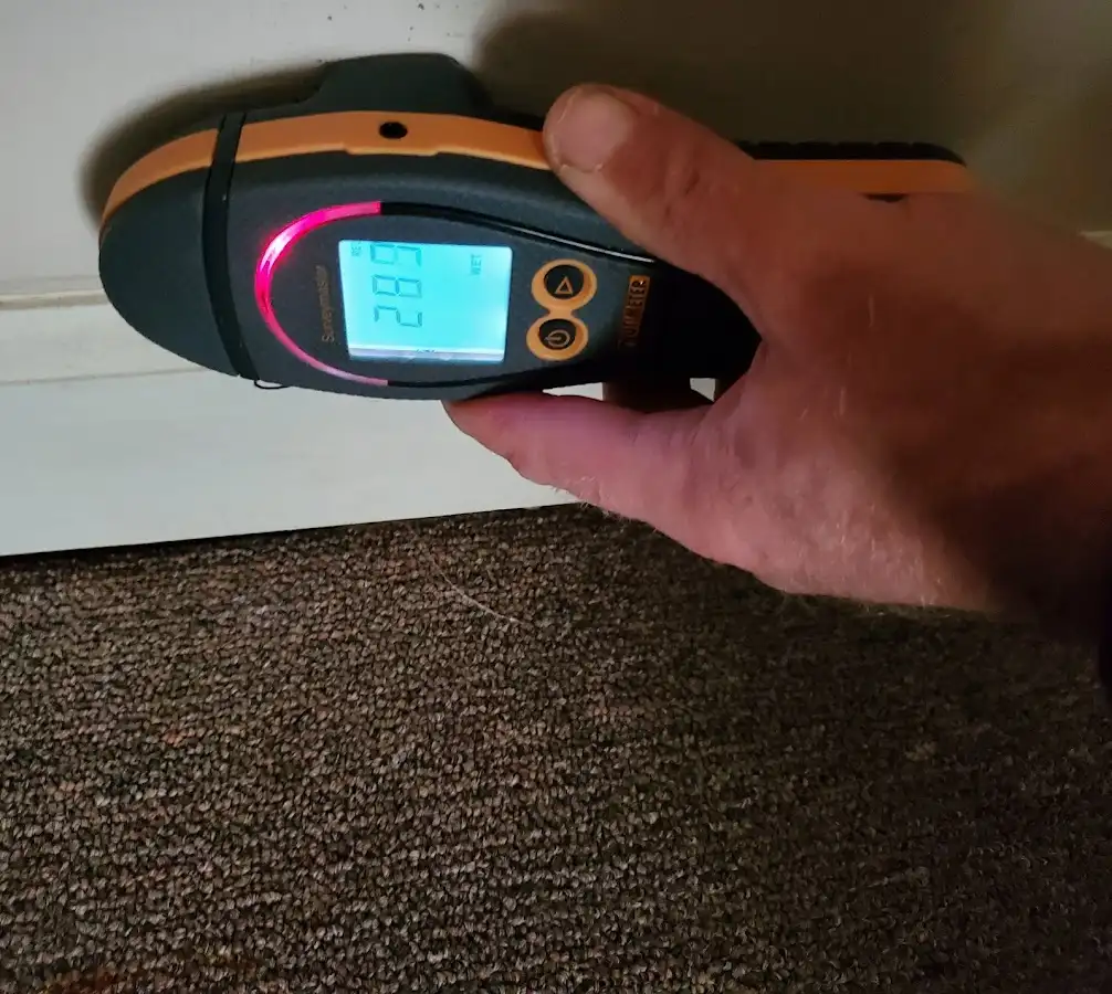 Moisture detection at baseboard during Storm Damage Restoration in Grayling